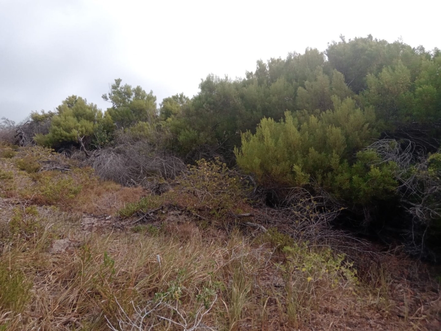 Commercial Property for Sale in Paradise Beach Eastern Cape